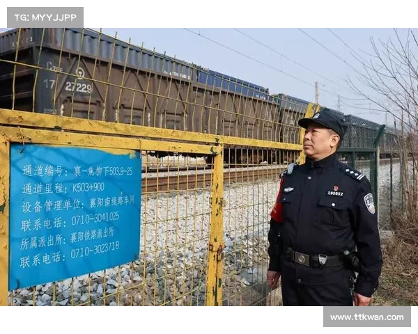 收废品养育武术冠军母亲泪洒领奖台背后的坚守与付出 收废品养育武术冠军母亲泪洒领奖台背后的坚守与付出
